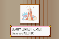 screenshots/Game Boy Advance/Pokemon - Emerald - Ruby - Sapphire/Pokemon Sapphire (Eng) 208.png